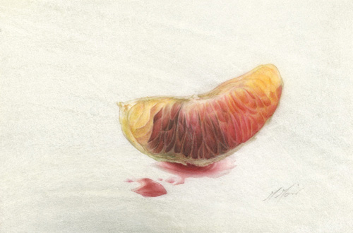 Artwork of Citrus sinensis 'Segment Blood Orange' by Mali Moir