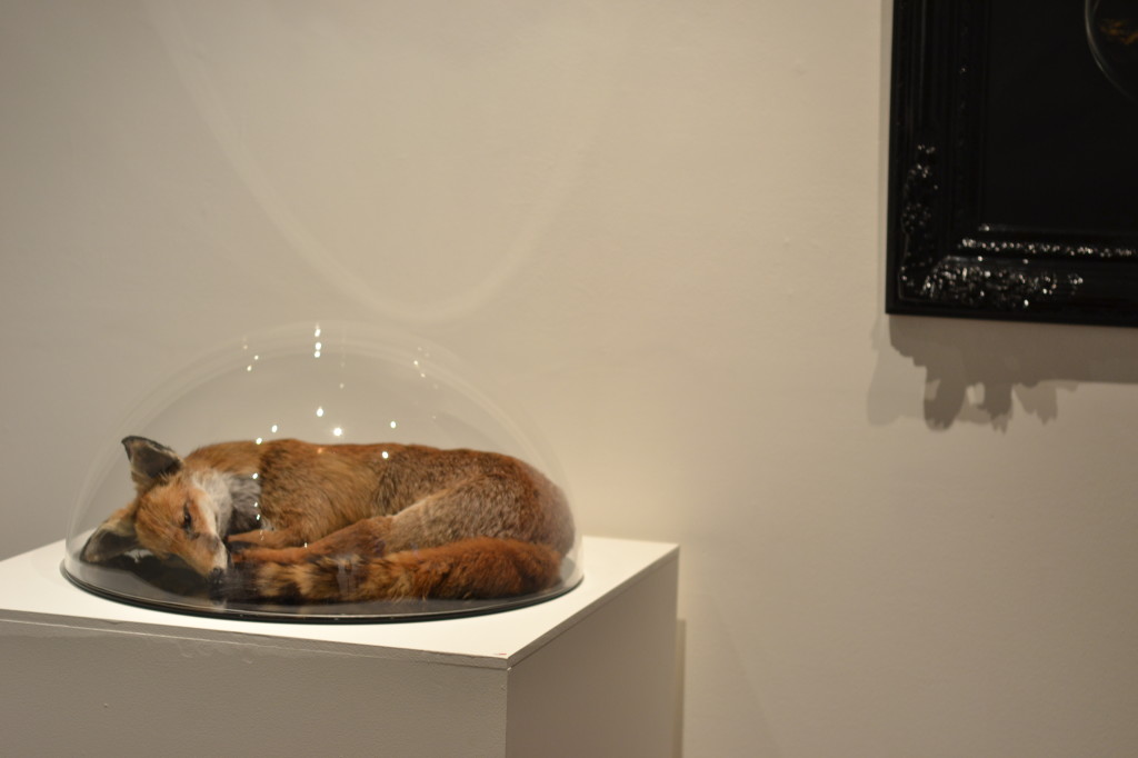 Nature Mort by Michelle Molinari at Flinders Lane Gallery